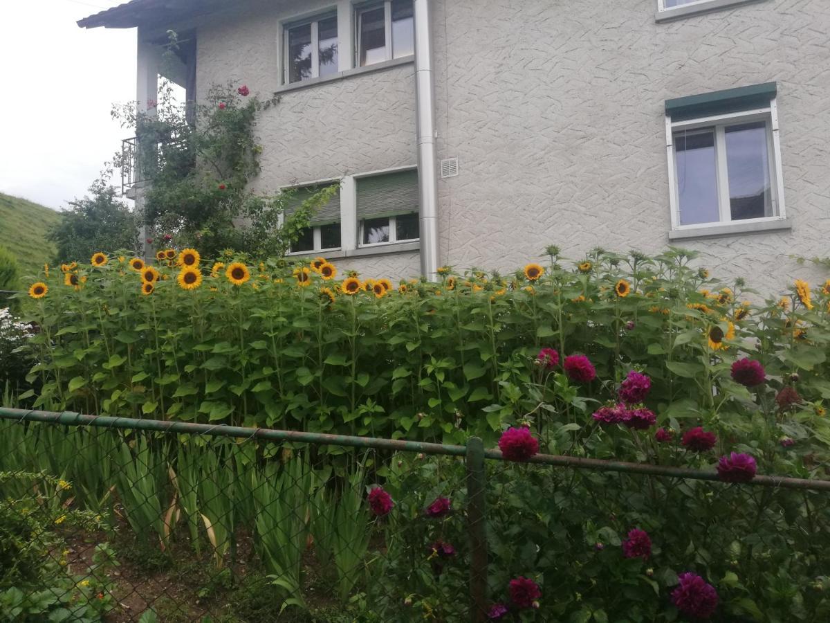 Billenberghof Apartment St. Gallen Exterior foto